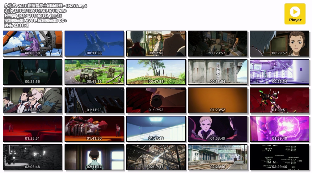 2021.新福音战士剧场版终 - LNZYB.mp4.jpg