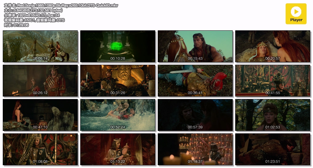 Red.Sonja.1985.1080p.BluRay.x265.10bit.DTS-QuickIO.mkv.jpg