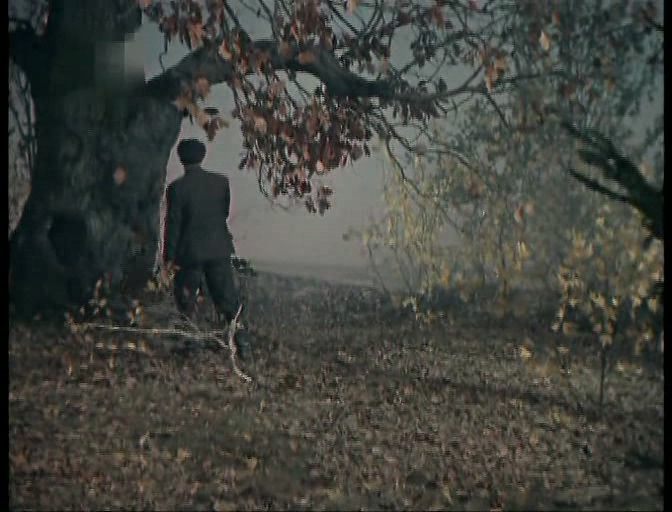 田野上的雷声.Гроза над полями.1958.SATRip.XVID.AC3.（长译国语）.mk.jpg