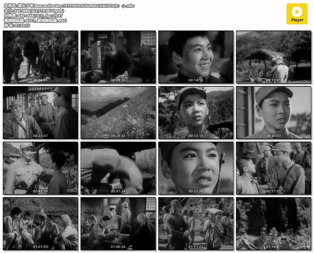 烽火少年.Beacon fire Boy.1975.DVD.X264.AAC.HALFCD(0：-)-.mkv.jpg