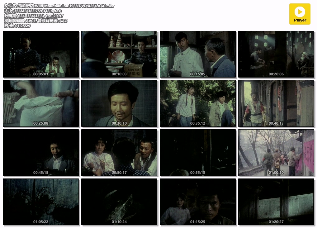 孤岭野店.Wild Mountain Inn.1988.DVD.X264.AAC.mkv.jpg