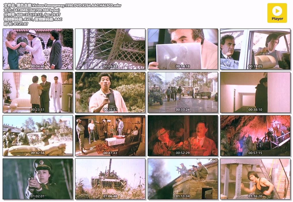 黑色走廊.Vicious Passageway.1990.DVD.X264.AAC.HALFCD.mkv.jpg