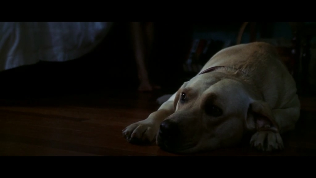 City of Angels.天使之城.双语字幕.HR-HDTV.AC3.1024X576.x264-人人影视制作.mkv_2025.jpg