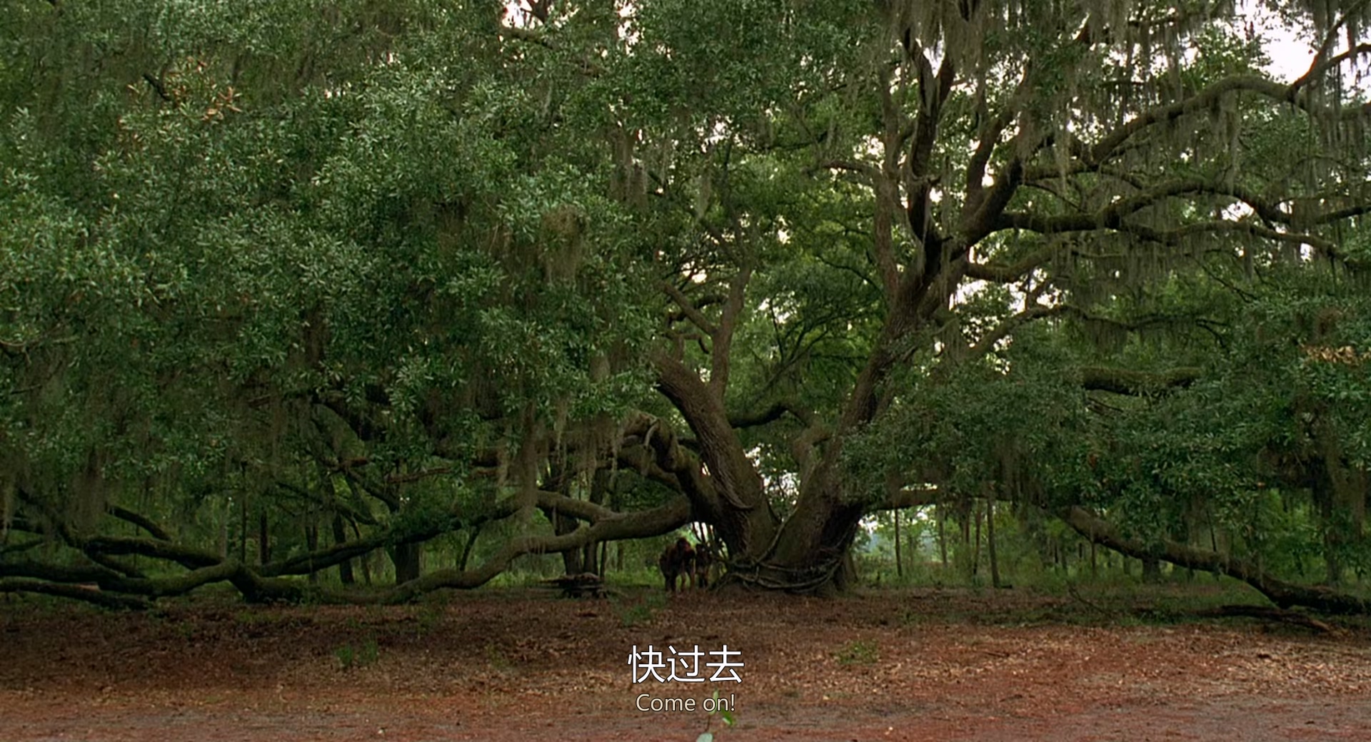 树屋上的童真 战争 (1994) 1080p [AAC, AAC] [zho, eng] h265.mkv_20250605_224908.082.jpg