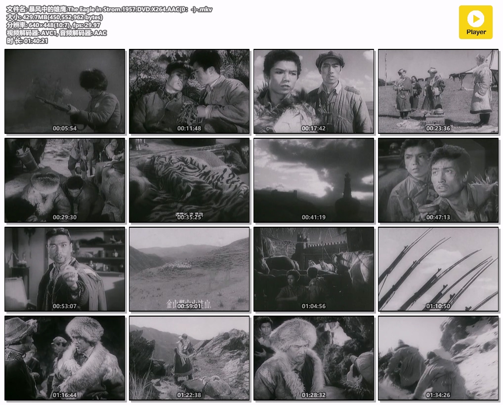 暴风中的雄鹰.The Eagle in Strom.1957.DVD.X264.AAC(0：-)-.mkv.jpg
