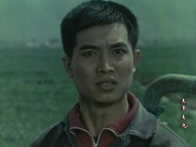 并非一个人的故事.It's not a story about one person.1978.DVD.X264.AAC.HALFCD.jpg