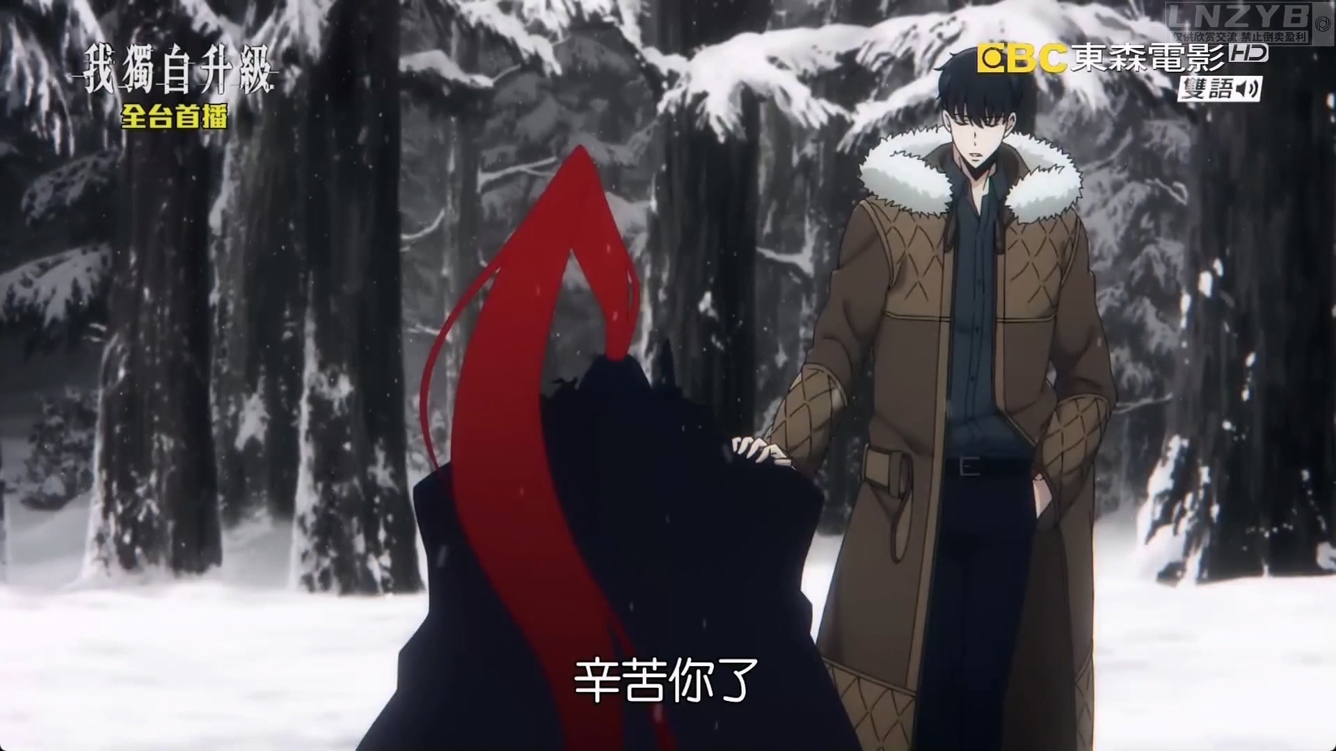 我独自升级 第二季 -起于暗影- 13 - LNZYB.mp4_20250607_122317.767.jpg