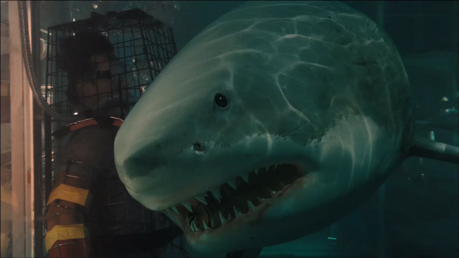 D 大海啸之鲨口逃生-2012.mkv_20250608_170204.867.jpg