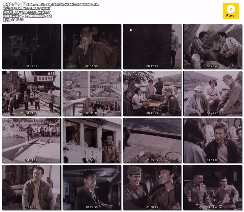 蓝天防线.Sefence in the Sky.1977.DVD.X264.AAC.HALFCD.mkv.jpg