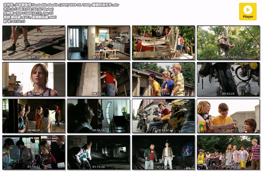 少年鳄鱼帮.Vorstadtkrokodile (2009) WEB-DL 1080p 国德双语无字.mkv.jpg