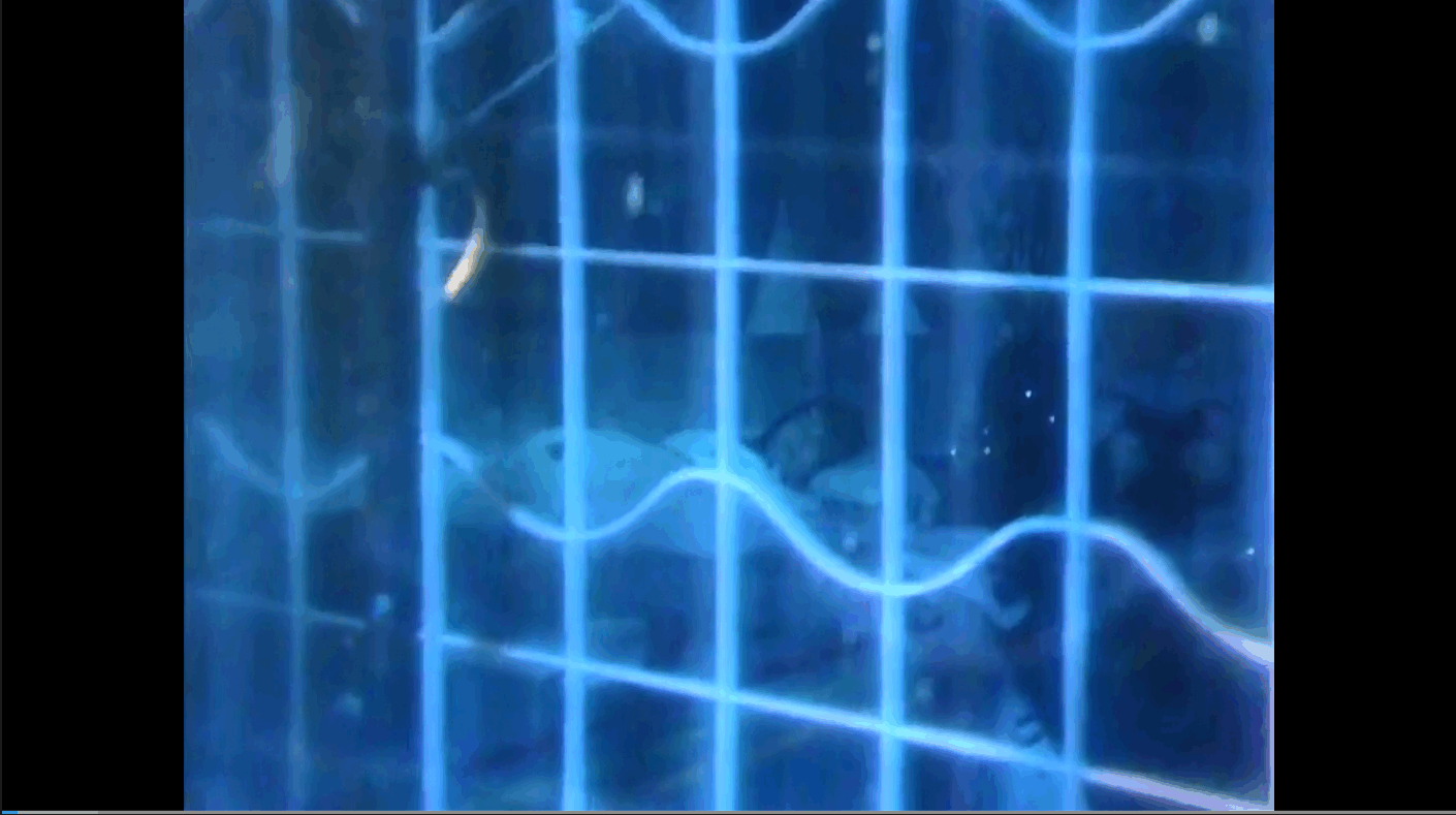 QQ截图20250610200910 (1).png