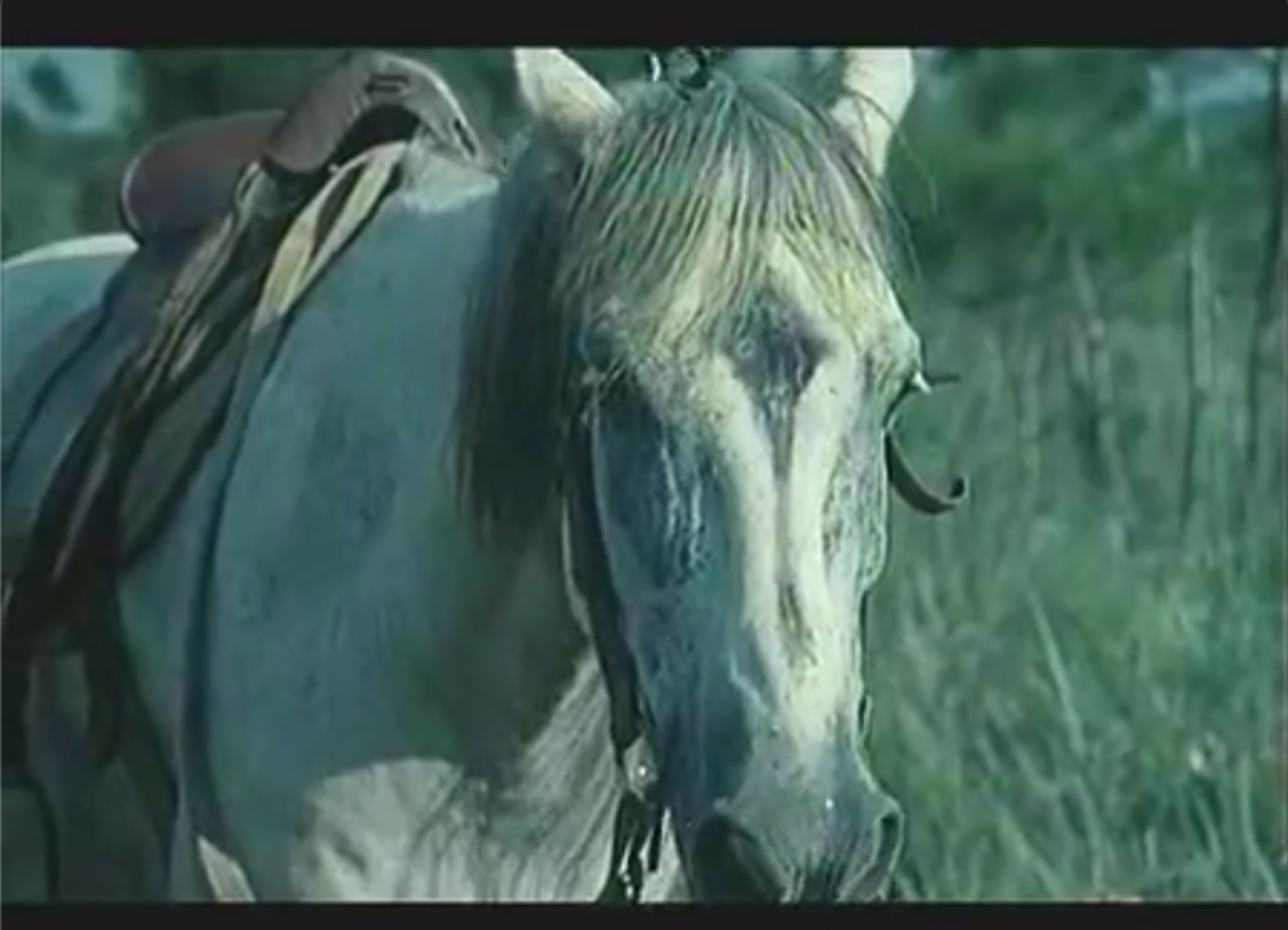 截屏2025-06-11 13.35.33.jpeg