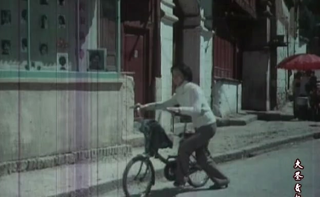 白鸽.Baige.1982.DVD.X264.AAC.HALFCD(0：-)-.mkv_20250611_182713.312.jpg