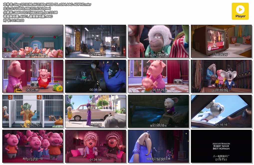 Sing.2016.R6.4K.2160p.WEB-DL.x264.AAC-ADPHD.mkv.jpg