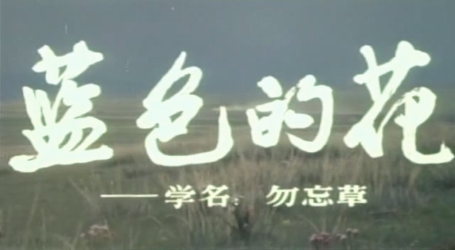 蓝色的花.Blue Flowers.1984.DVD.X264.AAC.HALFCD.mkv_20250613_174857.419.jpg