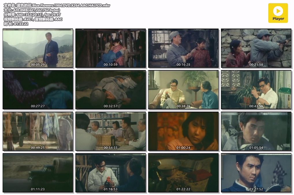蓝色的花.Blue Flowers.1984.DVD.X264.AAC.HALFCD.mkv.jpg