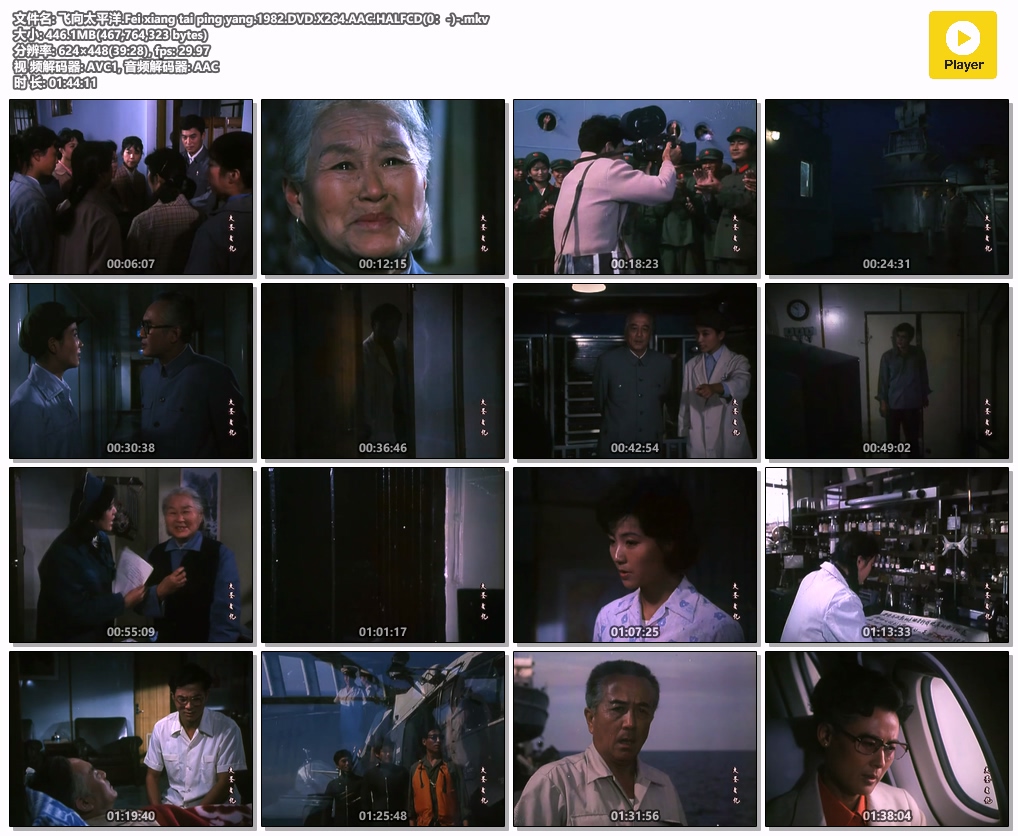 飞向太平洋.Fei xiang tai ping yang.1982.DVD.X264.AAC.HALFCD(0：-)-.mkv.jpg