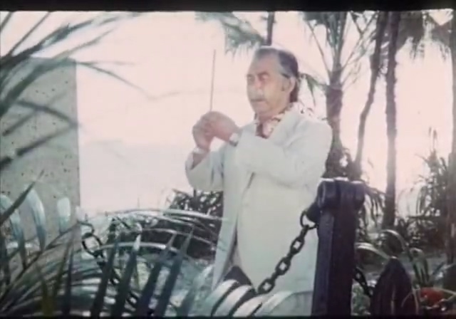 大海在呼唤.The Sea Is Calling.1982.DVD.X264.AAC.HALFCD(0：-)-.mkv_20250613_182610.145.jpg