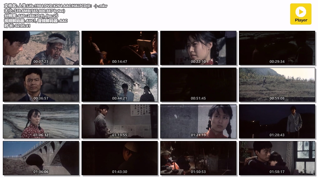 人生.Life.1984.DVD.X264.AAC.HALFCD(0：-)-.mkv.jpg