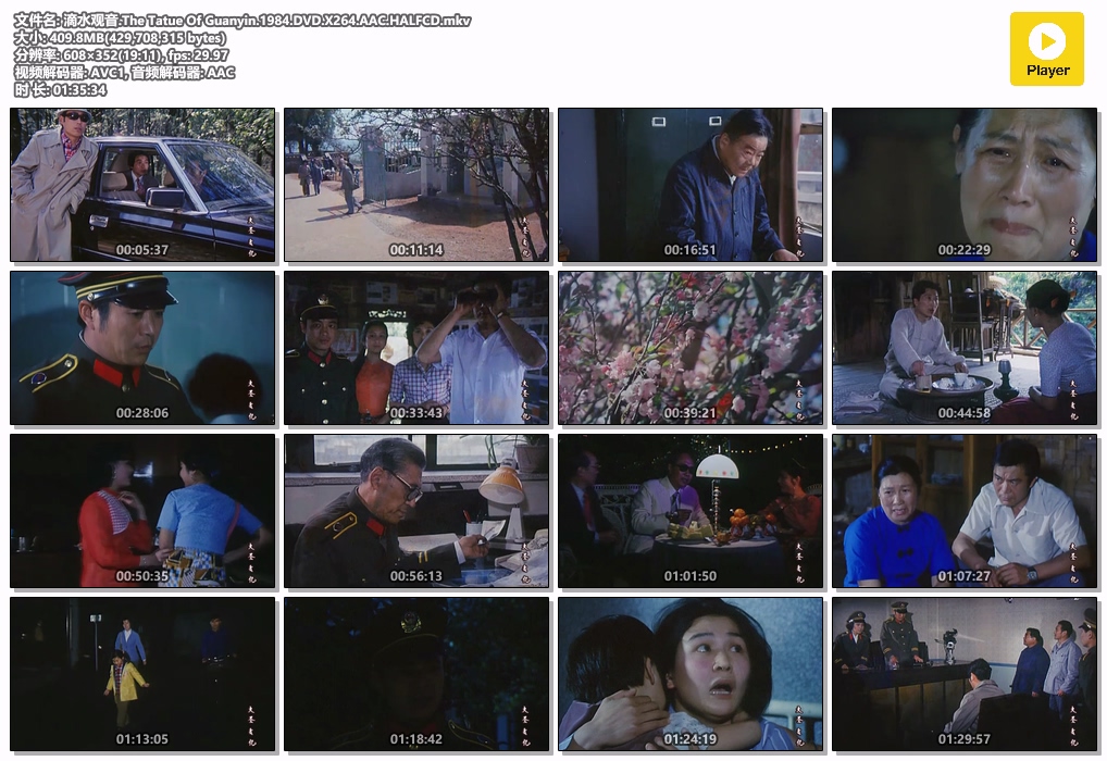 滴水观音.The Tatue Of Guanyin.1984.DVD.X264.AAC.HALFCD.mkv.jpg