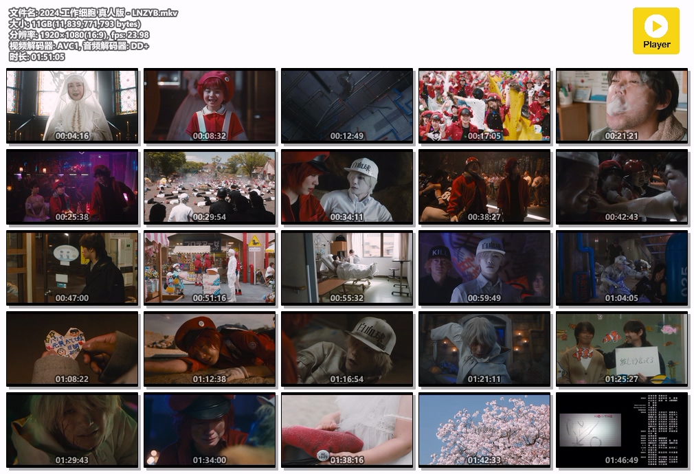 2024.工作细胞 真人版 - LNZYB.mkv.jpg