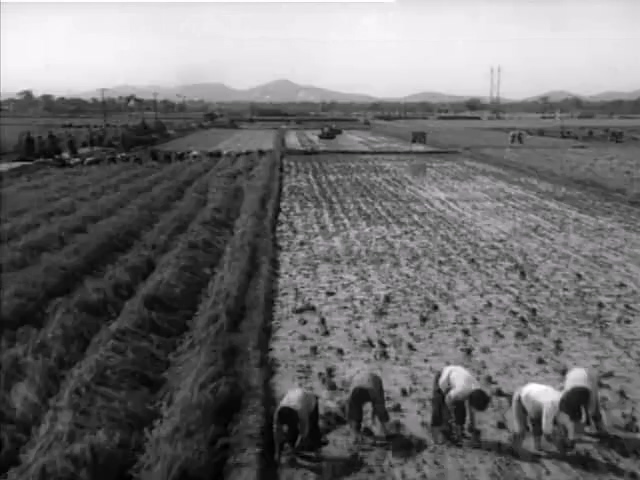 阿勇.A Yong.1975.DVD.X264.AAC.HALFCD.mkv_20250614_180416.788.jpg