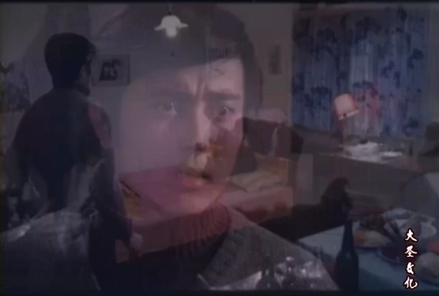 幸福在你身边.Happiness Always Follows You.1984.DVD.X264.AAC.HALFCD(0：-)-.mkv_20.jpg