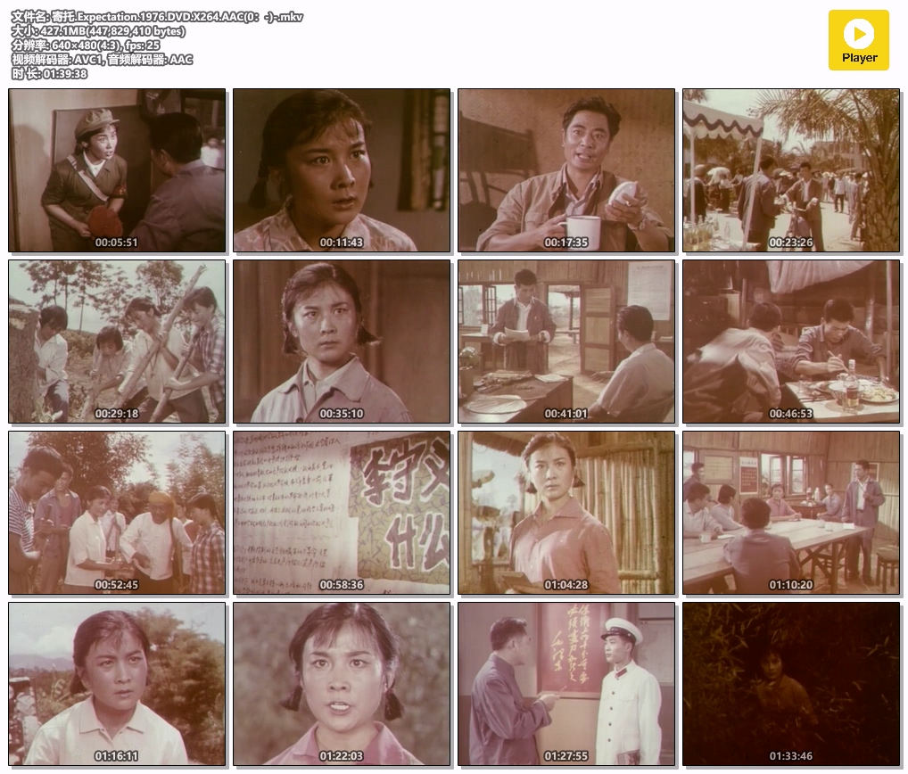 寄托.Expectation.1976.DVD.X264.AAC(0：-)-.mkv.jpg