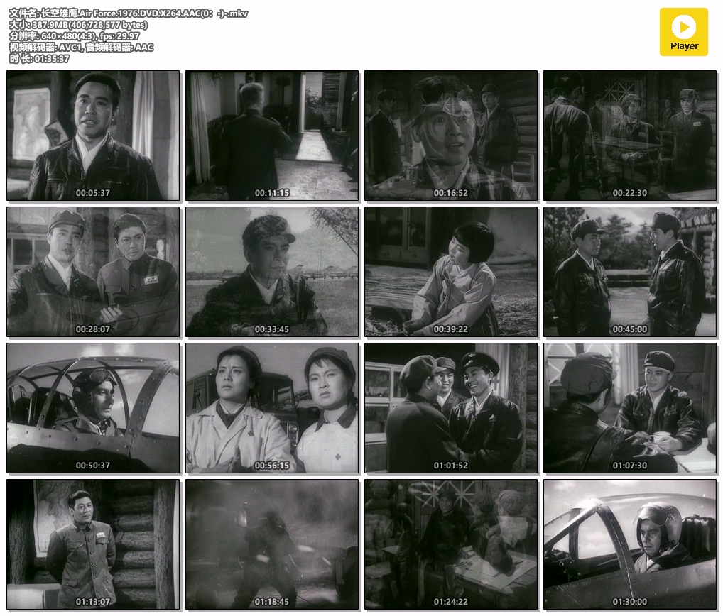 长空雄鹰.Air Force.1976.DVD.X264.AAC(0：-)-.mkv.jpg