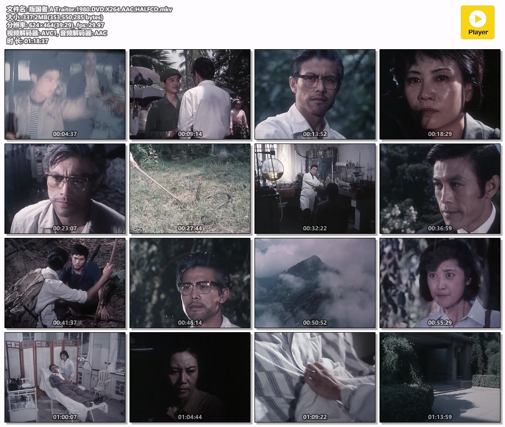 叛国者.A Traitor.1980.DVD.X264.AAC.HALFCD.mkv.jpg
