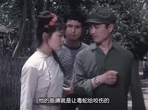 叛国者.A Traitor.1980.DVD.X264.AAC.HALFCD.mkv_20250615_215609.873.jpg