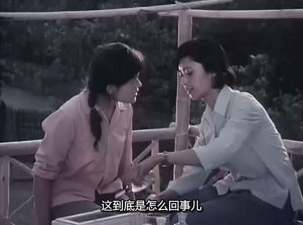 叛国者.A Traitor.1980.DVD.X264.AAC.HALFCD.mkv_20250615_215643.140.jpg