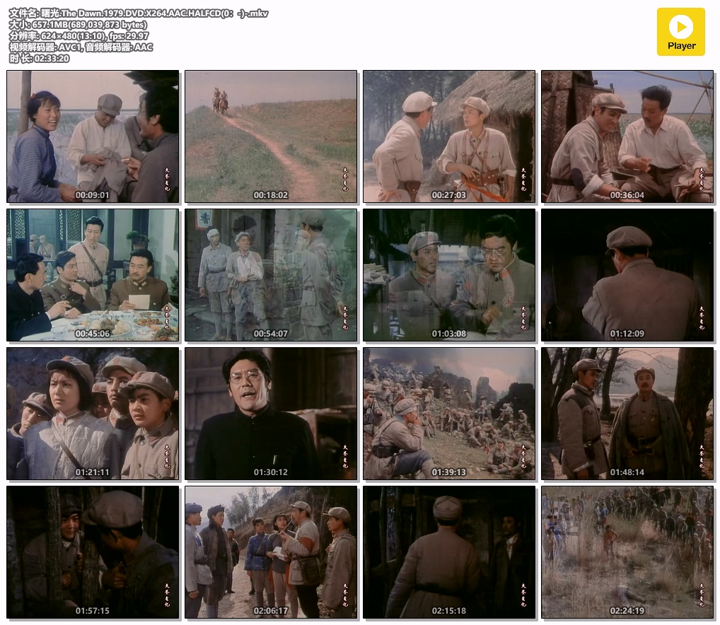 曙光.The Dawn.1979.DVD.X264.AAC.HALFCD(0：-)-.mkv.jpg