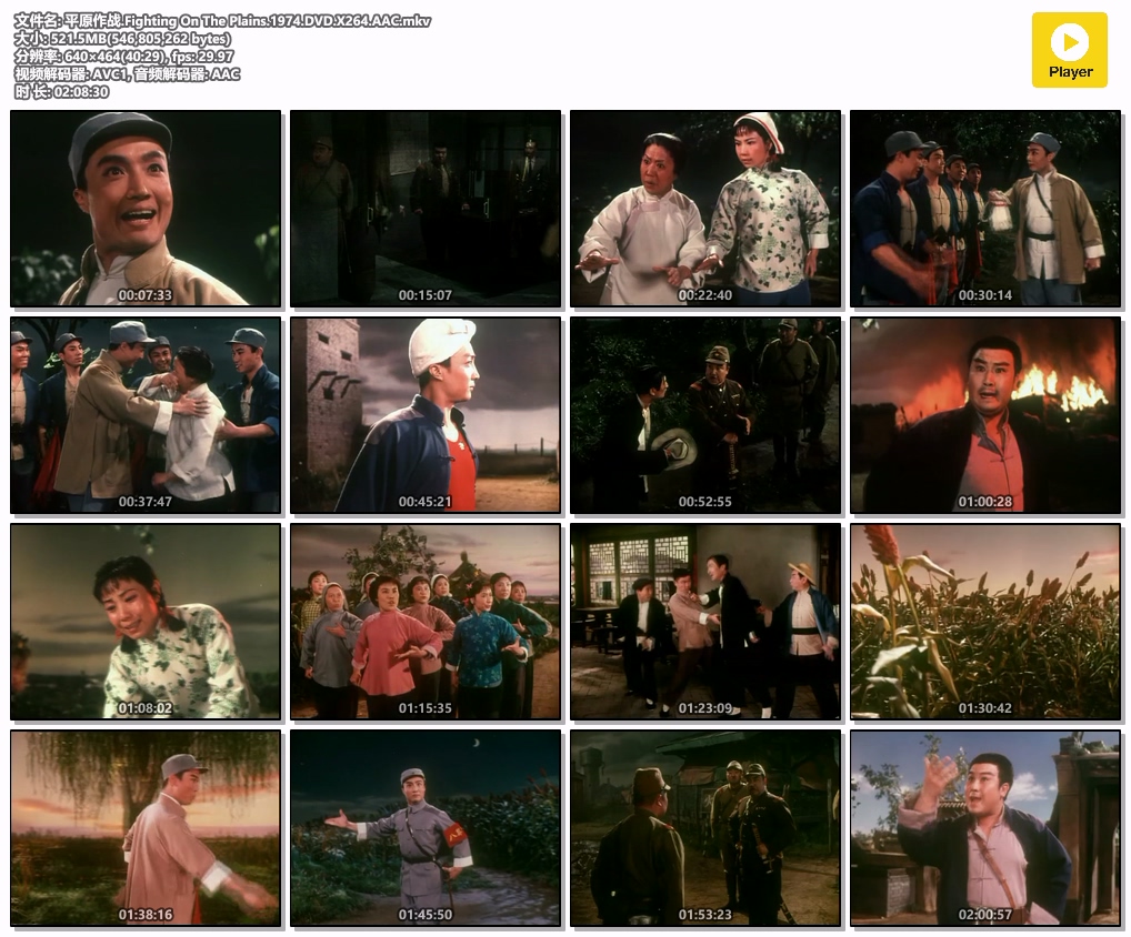 平原作战.Fighting On The Plains.1974.DVD.X264.AAC.mkv.jpg