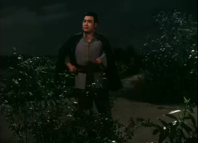 平原作战.Fighting On The Plains.1974.DVD.X264.AAC.mkv_20250615_222919.694.jpg