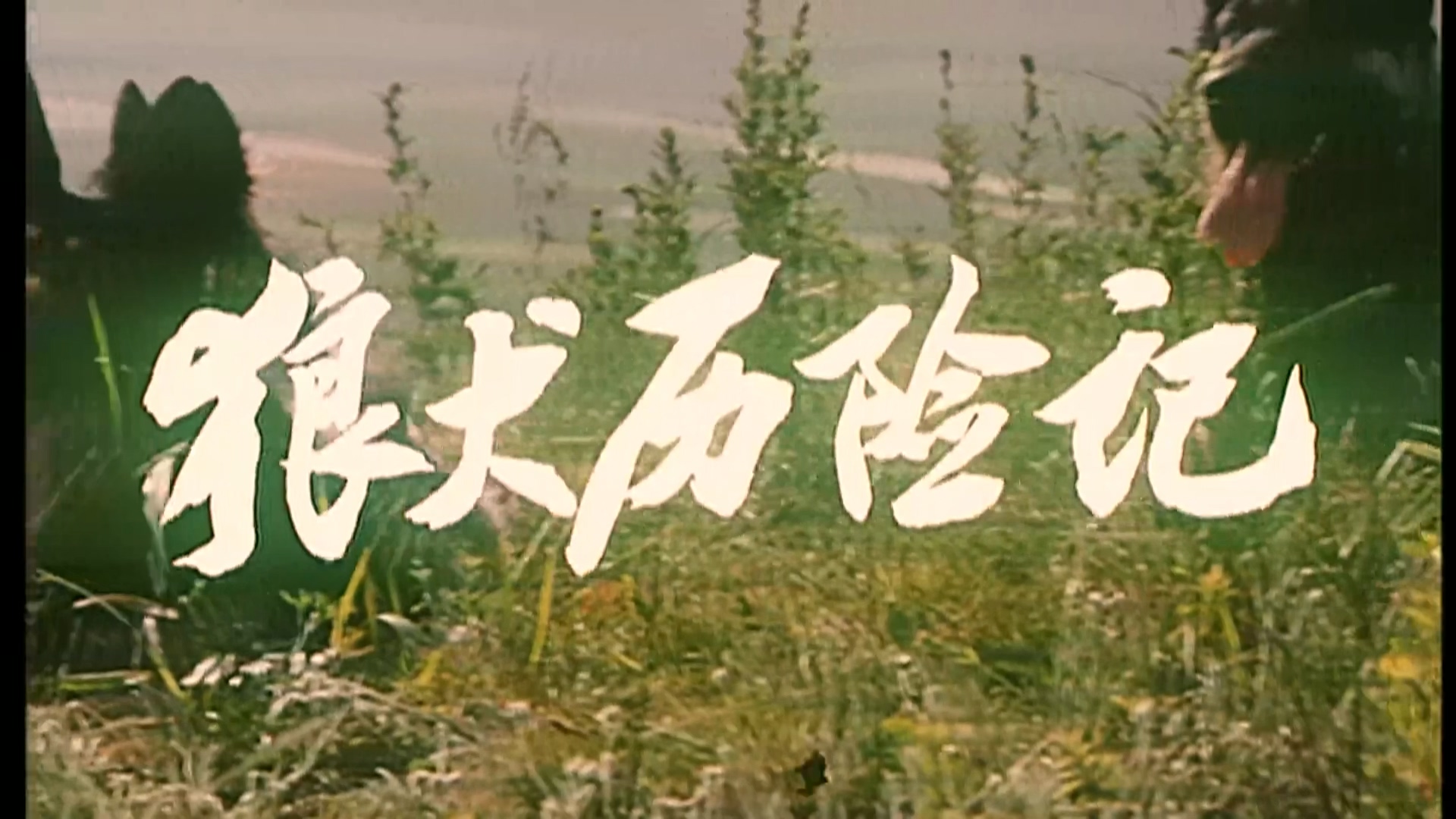 狼犬历险记.mp4_20250616_185200.419.jpg