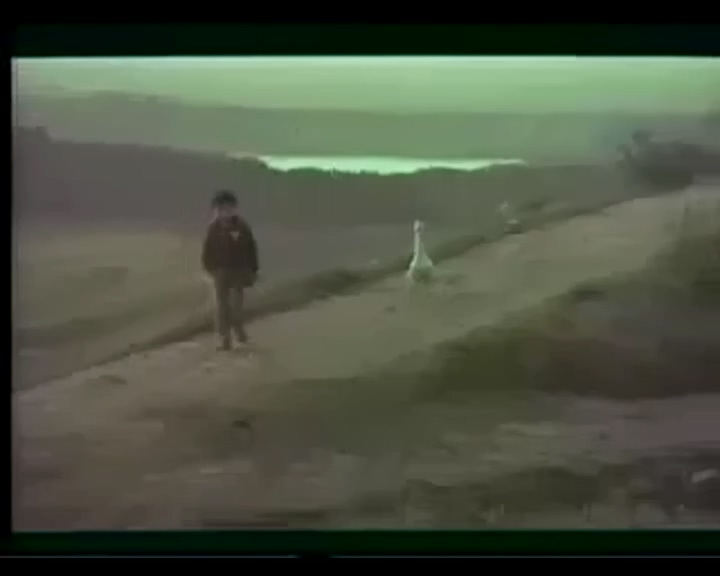 为什么生我 1984 峨影_1.mp4_20250616_191020.648.jpg