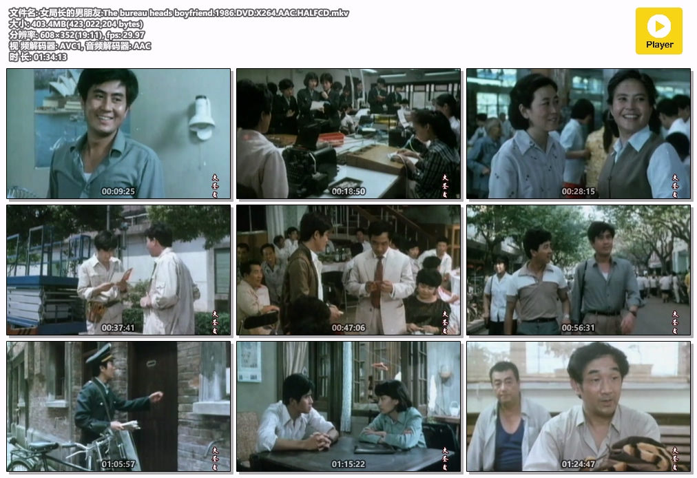女局长的男朋友.The bureau heads boyfriend.1986.DVD.X264.AAC.HALFCD.mkv.jpg