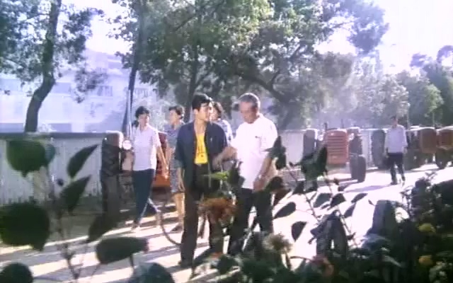 当代人.The Contemporary People.1981.DVD.X264.AAC.HALFCD(1).mkv_20250617_191906.240.jpg