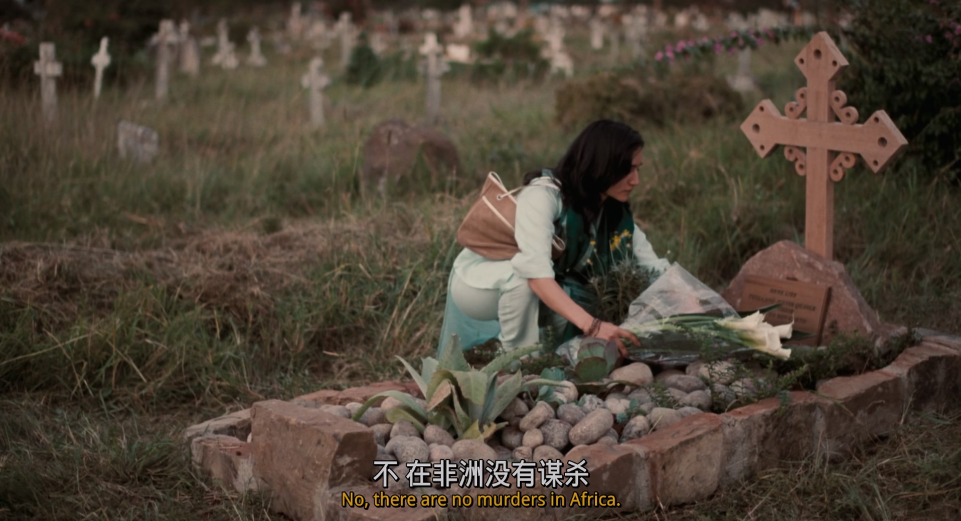 不朽的园丁[简繁英字幕].The.Constant.Gardener.2005.1080p.BluRay.x265.10bit.DTS-Qu.jpg