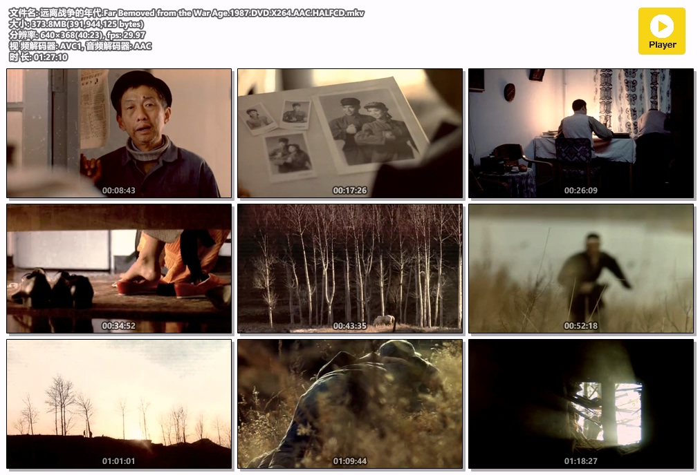 远离战争的年代.Far Bemoved from the War Age.1987.DVD.X264.AAC.HALFCD.mkv.jpg