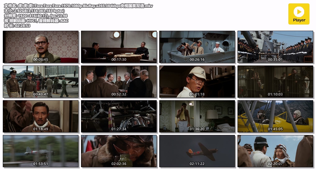 虎!虎!虎!.Tora.Tora.Tora.1970.1080p.BluRay.x265.384kbps央视国英双语.mkv.jpg