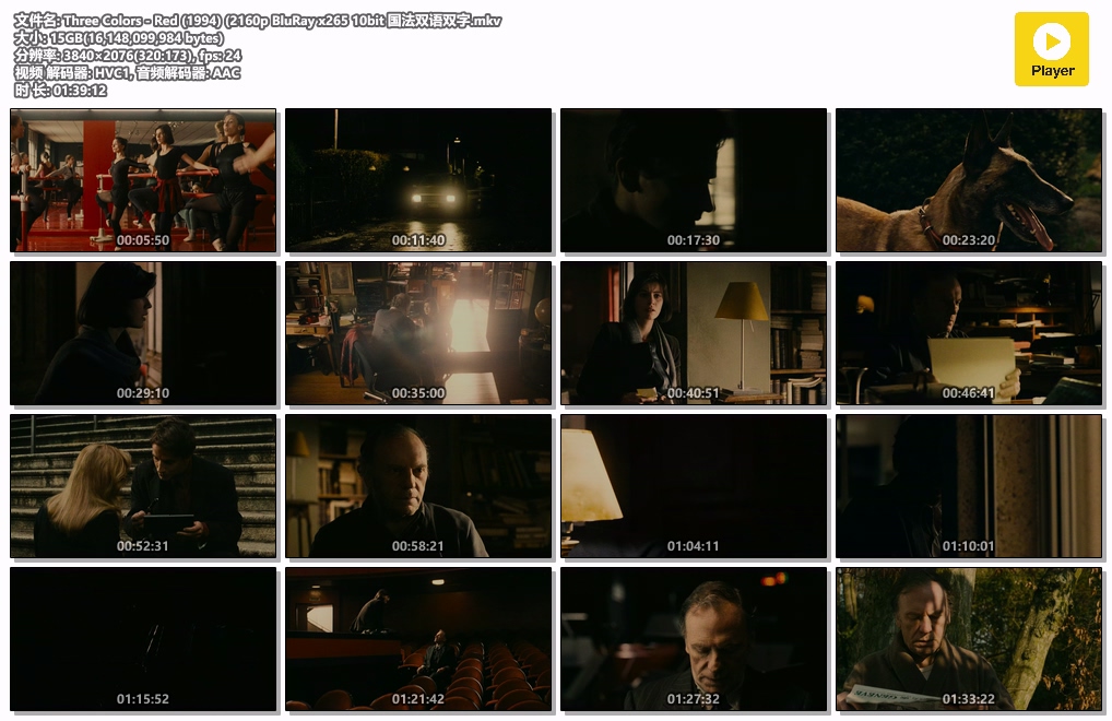 Three Colors - Red (1994) (2160p BluRay x265 10bit 国法双语双字.mkv.jpg