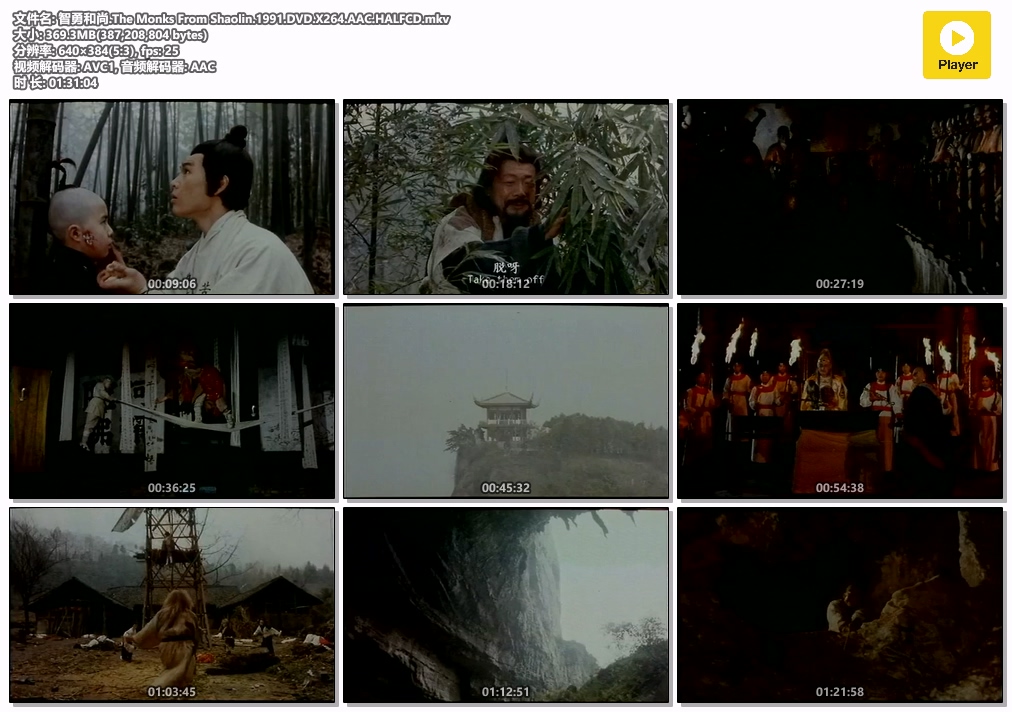 智勇和尚.The Monks From Shaolin.1991.DVD.X264.AAC.HALFCD.mkv.jpg