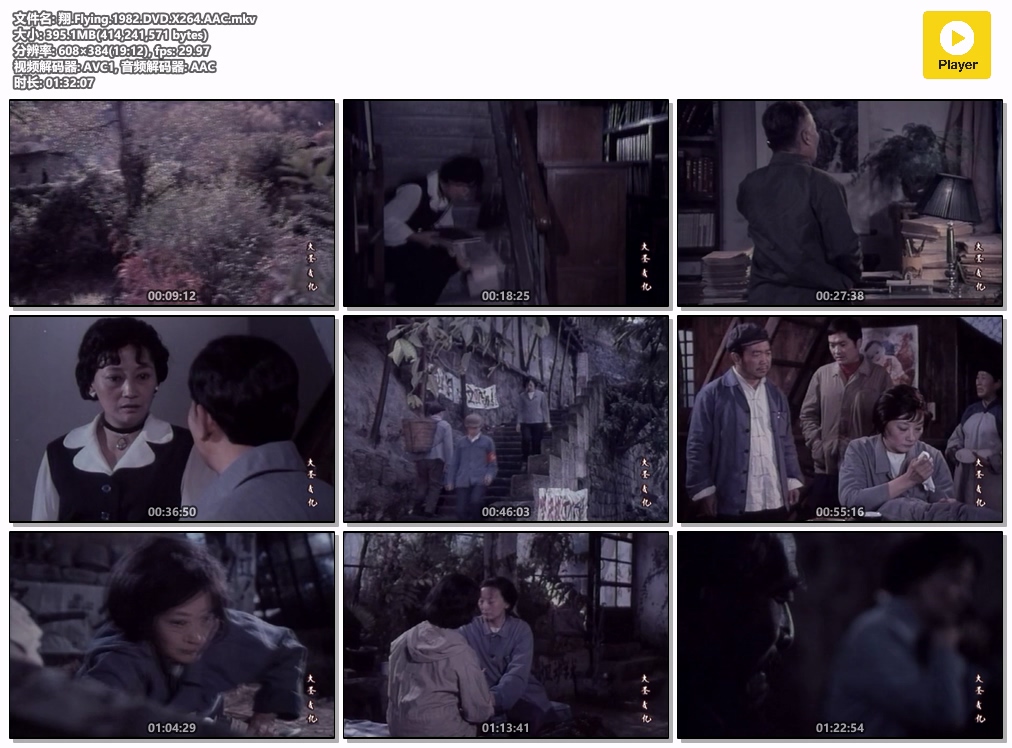 翔.Flying.1982.DVD.X264.AAC.mkv.jpg