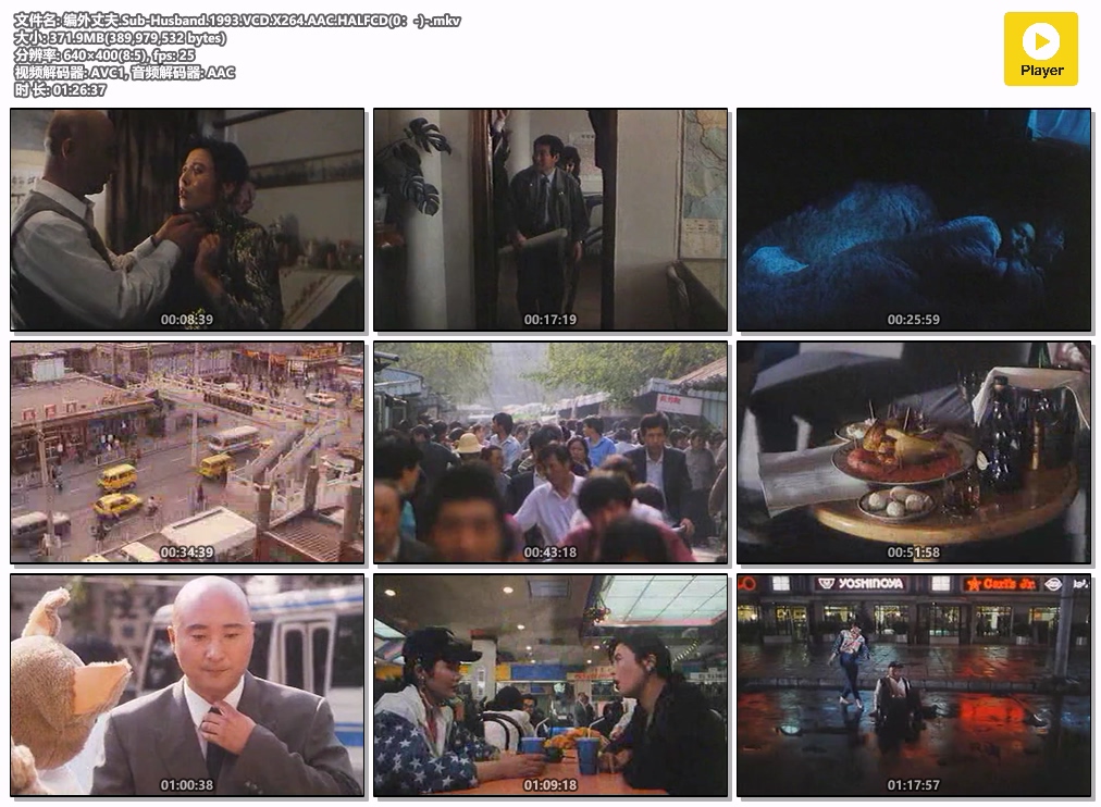 编外丈夫.Sub-Husband.1993.VCD.X264.AAC.HALFCD(0：-)-.mkv.jpg