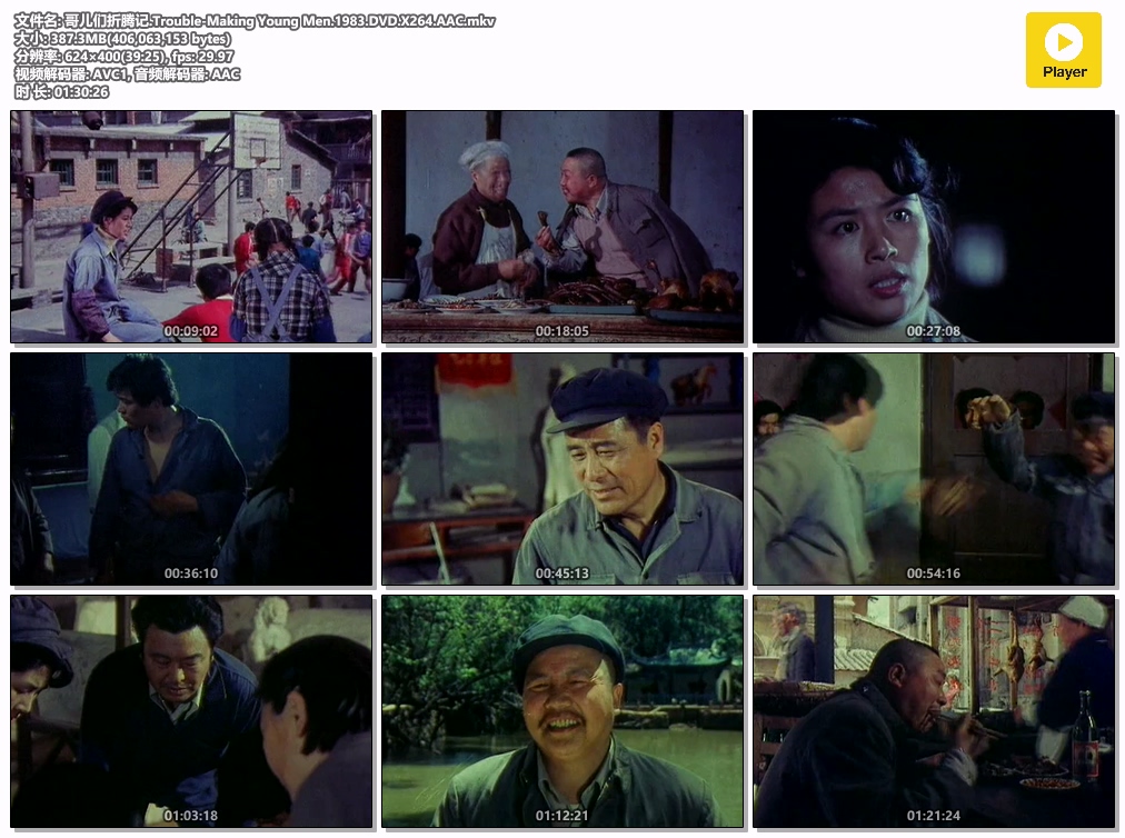哥儿们折腾记.Trouble-Making Young Men.1983.DVD.X264.AAC.mkv.jpg