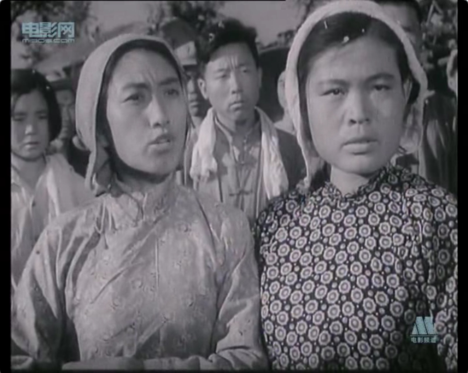 截屏2025-06-27 16.54.27.jpeg