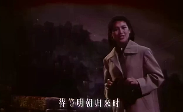 江姐.Sister Jiang.1978.DVD.X264.AAC.mkv_20250627_200212.251.jpg