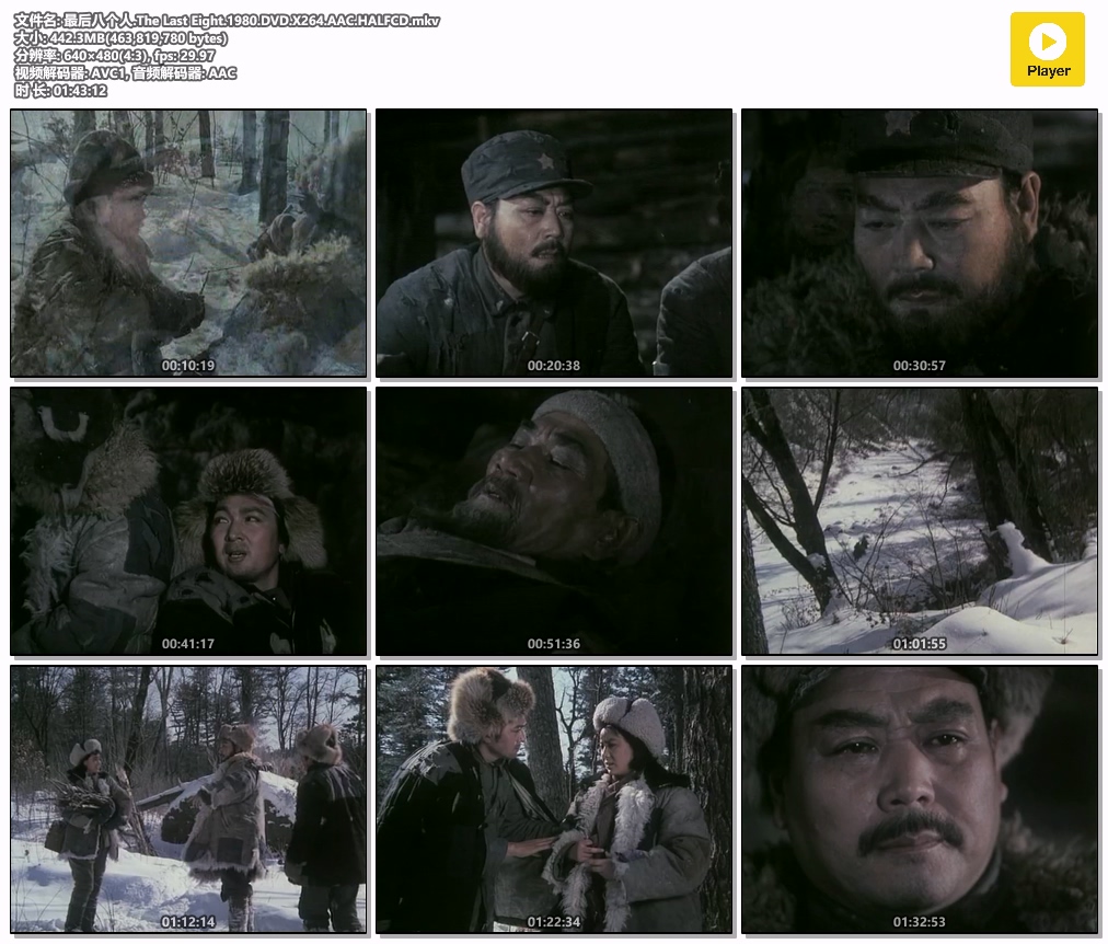 最后八个人.The Last Eight.1980.DVD.X264.AAC.HALFCD.mkv.jpg